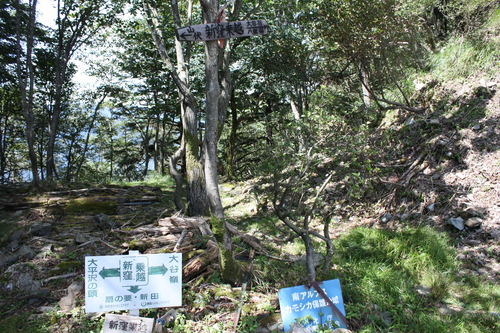 b0093515_7402445.jpg