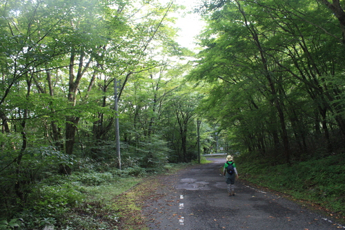 b0093515_823145.jpg