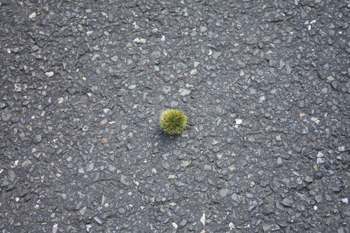b0093515_844985.jpg