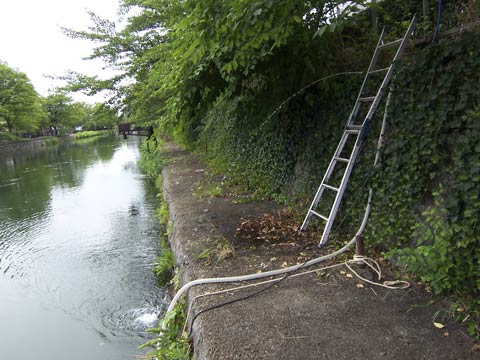 b0205315_10395924.jpg