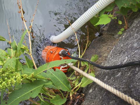 b0205315_240430.jpg