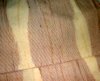 ことばの引き出し_f0205317_029549.jpg