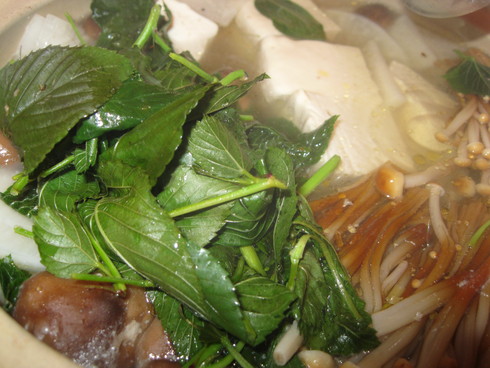 「秋物~~入荷」??_a0125419_22132767.jpg
