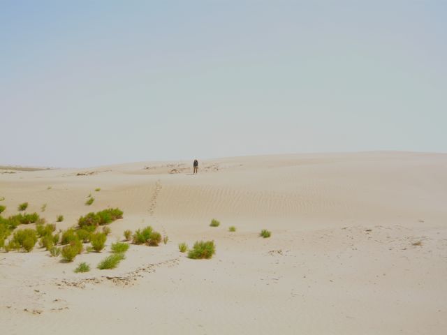 e0111220_23131414.jpg