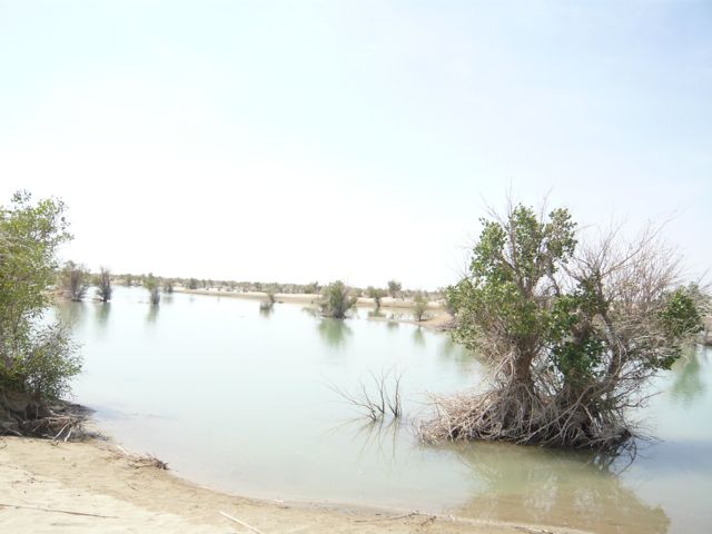 e0111220_23265714.jpg