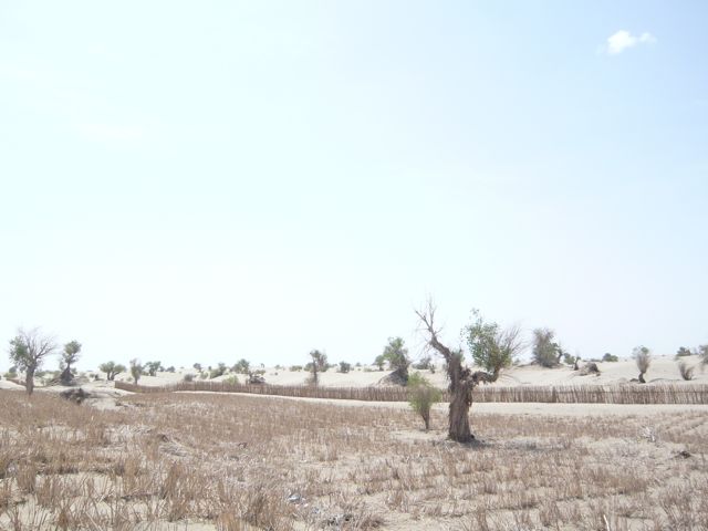 e0111220_2328552.jpg