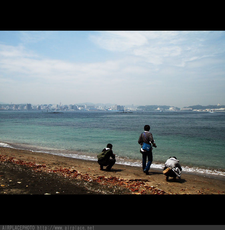 f0086721_17795.jpg