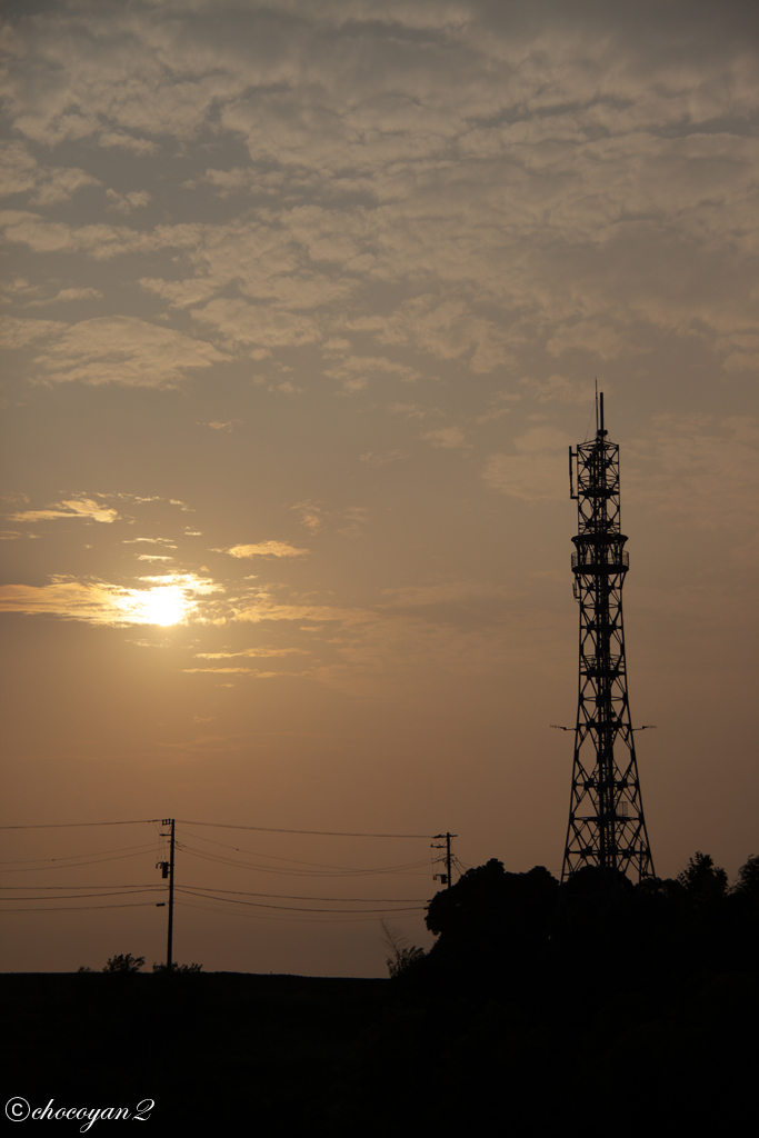 d0161322_22452824.jpg