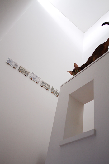 e0090124_7295147.jpg