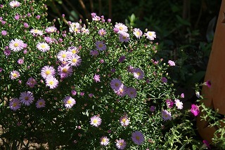 f0170524_2104535.jpg