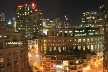 c0024729_2030212.jpg