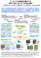f0121534_1804574.gif