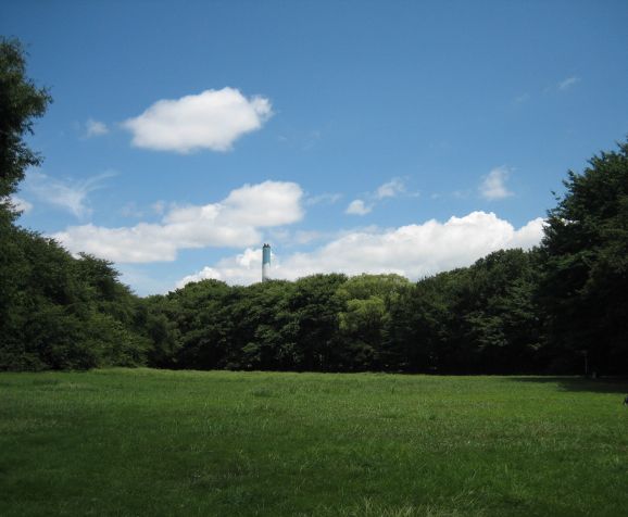 e0082045_1614519.jpg
