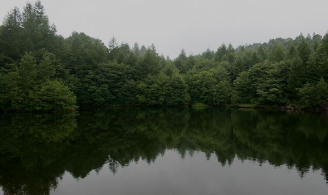 e0082045_16565648.jpg