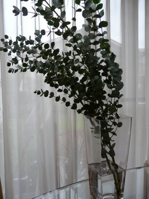 a0118946_18151430.jpg