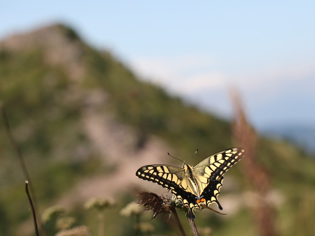 夏の終わりの山_b0144049_11504550.jpg