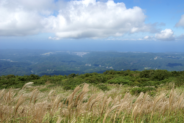 f0214649_53234.jpg