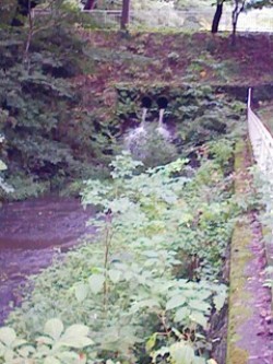 杜の都・仙台と川_f0197754_23171351.jpg