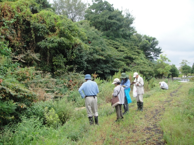H229月度植物調査_c0108460_16434974.jpg