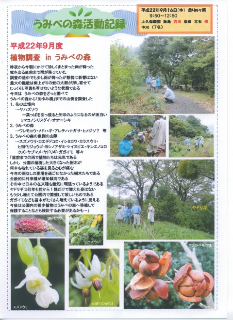 H229月度植物調査_c0108460_16491858.jpg