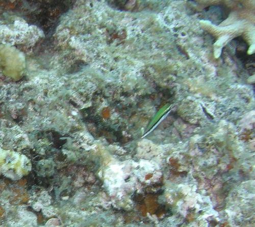 c0180460_025056.jpg