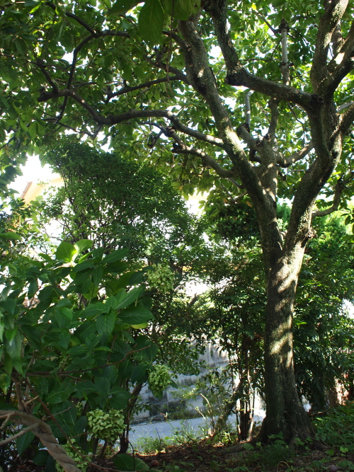 d0163670_1685972.jpg