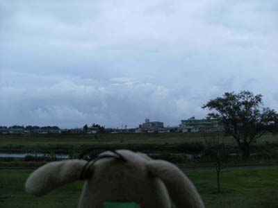 c0158573_8204356.jpg