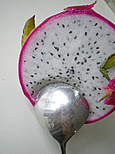 b0195783_15494267.jpg