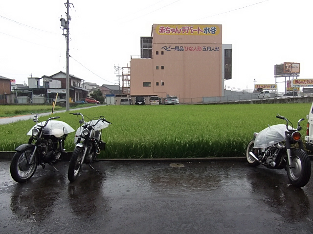 hard work in rainy day_a0165898_3331649.jpg
