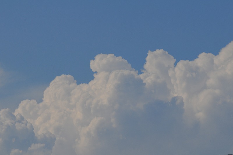 a0092804_032471.jpg