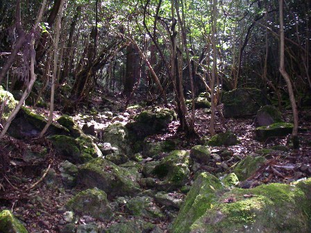 10.09.17(金) 帝釈山_a0062810_13162384.jpg