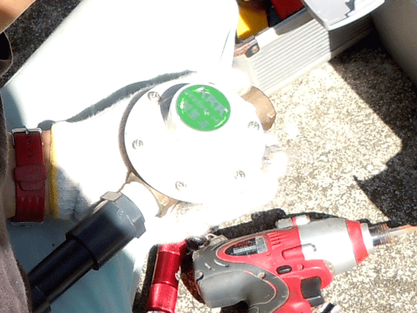 b0159611_23381743.gif
