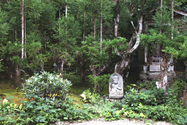宗蓮寺の秋_e0048413_1844961.jpg