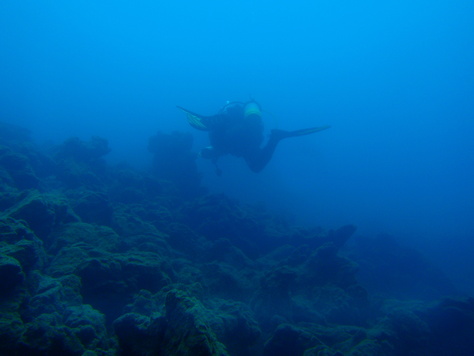 a0104720_03588.jpg