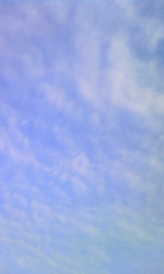 c0150520_21485252.jpg
