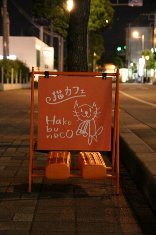 山梨県中巨摩郡国母 猫カフェ Hako Bu Neco 新 間違いだらけの猫カフェ選び 山梨県中巨摩郡国母 猫カフェ Hako Bu Neco 新 間違いだらけの猫カフェ選び