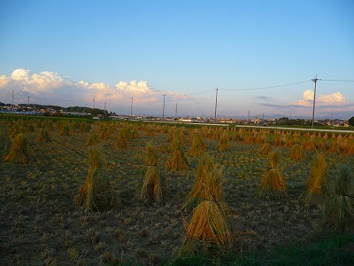 c0035843_1923150.jpg