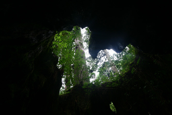 屋久島〜命の章〜_a0136846_22321594.jpg