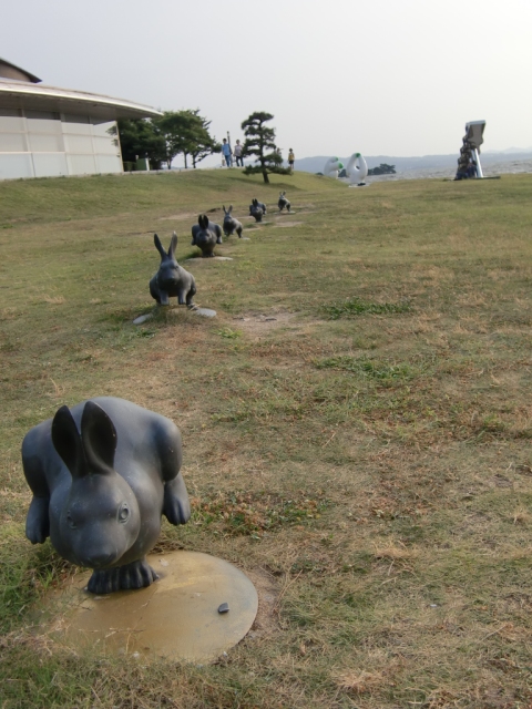 島根県・宍道湖ウサギ_e0198047_9205646.jpg