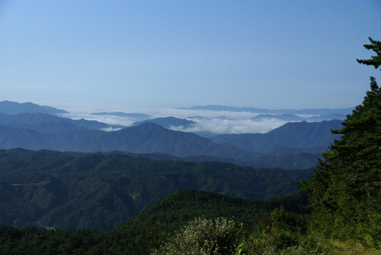f0214649_49305.jpg