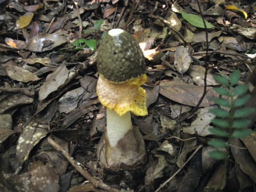 c0179351_19523630.jpg