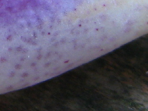 c0179351_2071497.jpg
