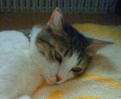 c0052756_23211269.jpg