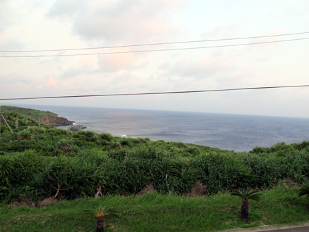 9月17日 台風11号に備えて _d0113459_2083815.jpg