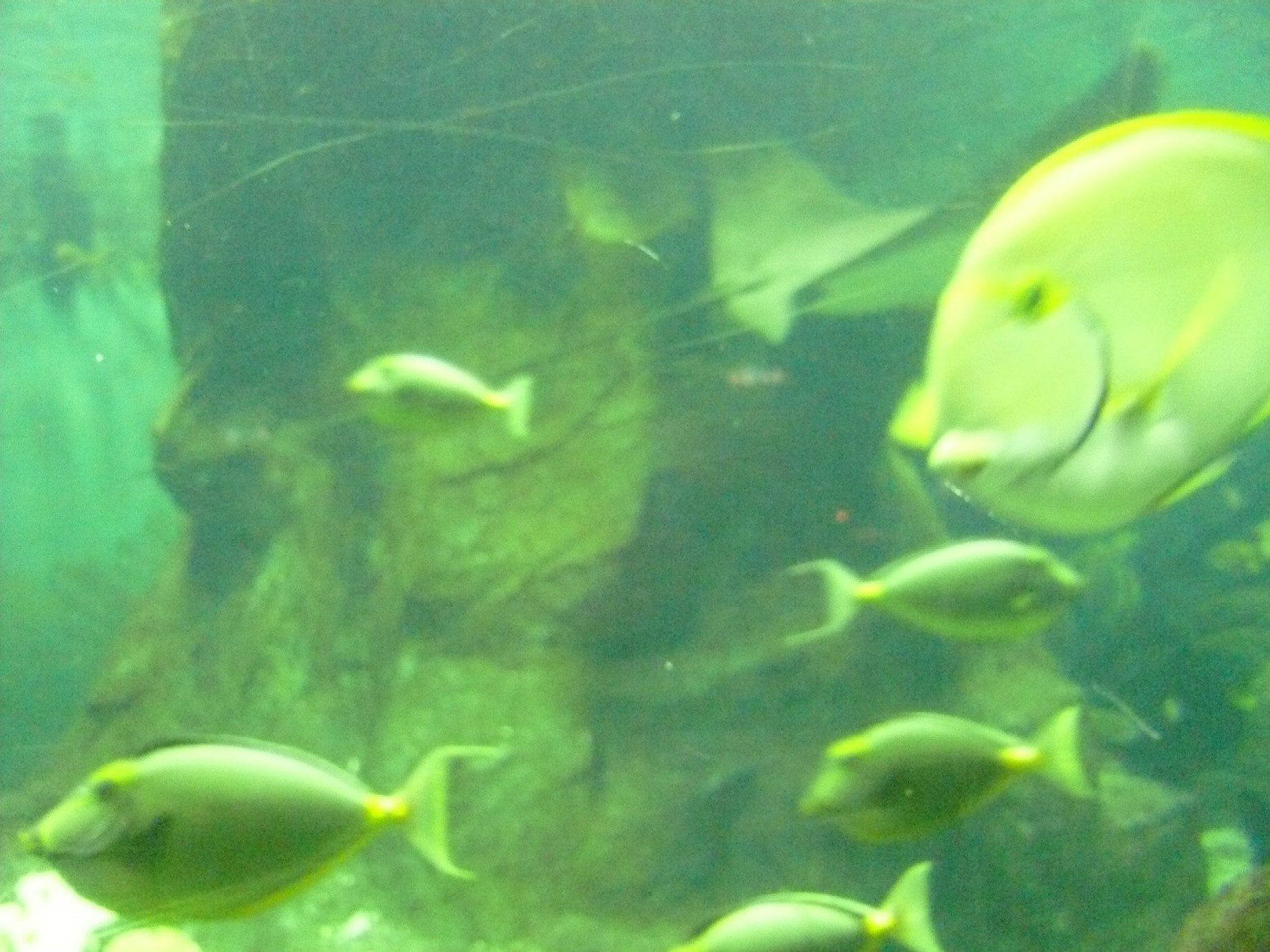 c0115560_15151915.jpg