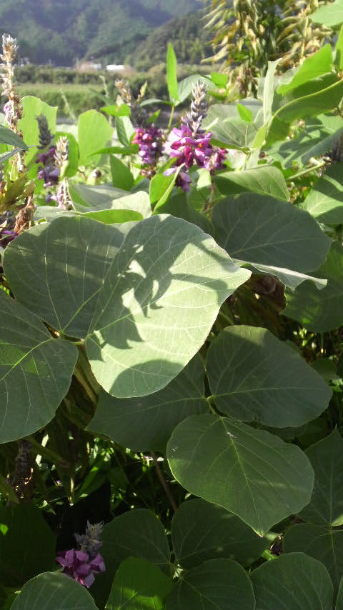 c0147261_3481575.jpg