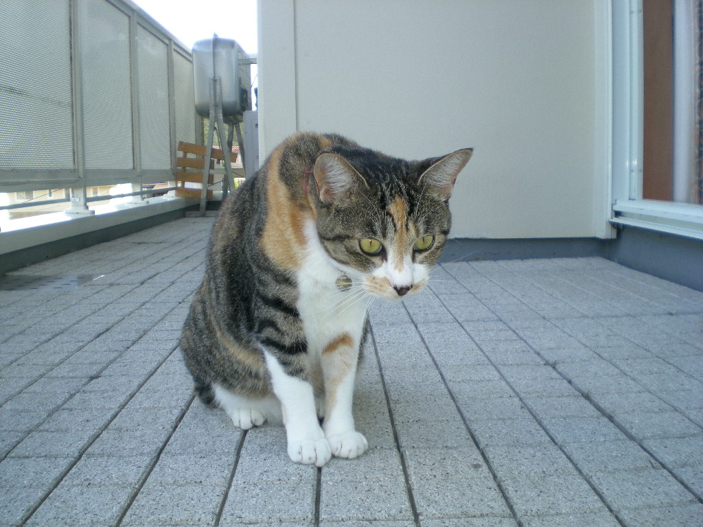 2010年9月17日(金)ヒアルロンさん!_f0060461_1064519.jpg