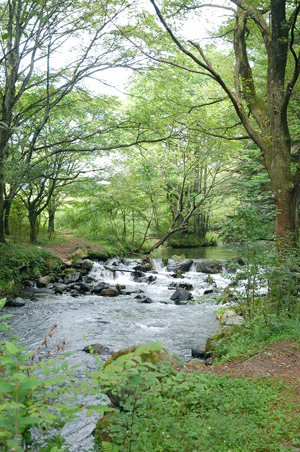 軽井沢旅行　2010　晩夏⑦＜湯川ふるさと公園＞_f0177964_181332.jpg