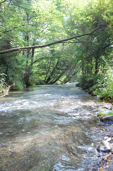 軽井沢旅行　2010　晩夏⑦＜湯川ふるさと公園＞_f0177964_18379.jpg