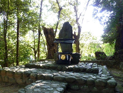d0084473_2020158.jpg